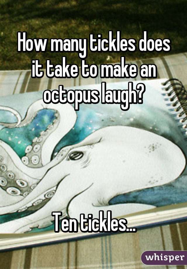 How many tickles does it take to make an octopus laugh?




Ten tickles...