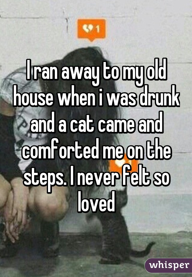 I ran away to my old house when i was drunk and a cat came and comforted me on the steps. I never felt so loved