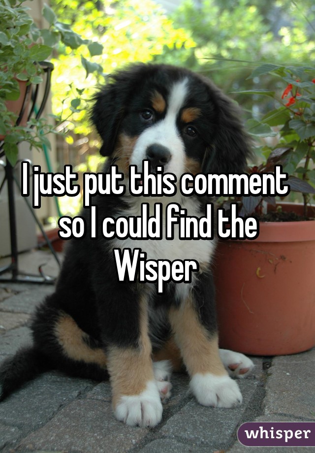 I just put this comment  so I could find the Wisper 