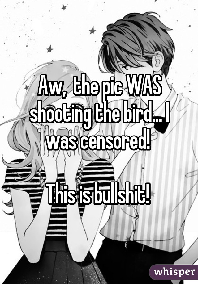Aw,  the pic WAS shooting the bird... I was censored! 

This is bullshit! 