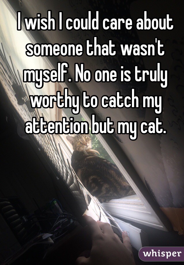 I wish I could care about someone that wasn't myself. No one is truly worthy to catch my attention but my cat. 