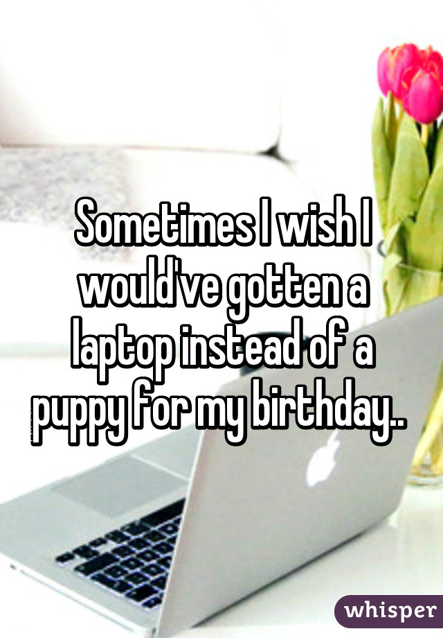 Sometimes I wish I would've gotten a laptop instead of a puppy for my birthday.. 