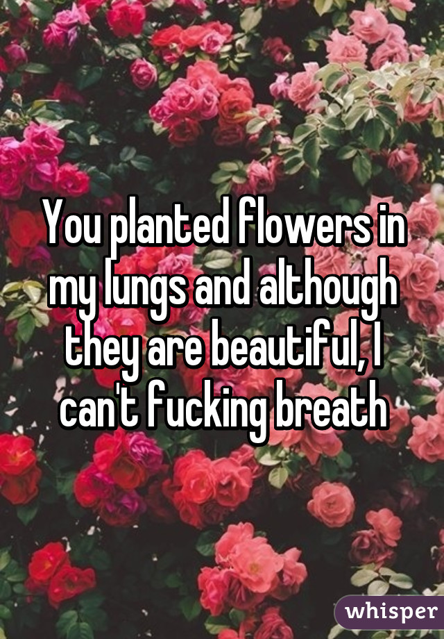 You planted flowers in my lungs and although they are beautiful, I can't fucking breath