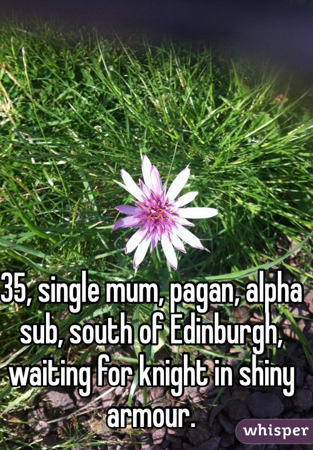 35, single mum, pagan, alpha sub, south of Edinburgh, waiting for knight in shiny armour.