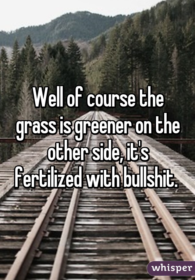 Well of course the grass is greener on the other side, it's fertilized with bullshit. 