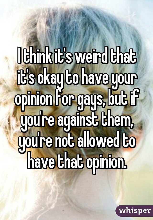 I think it's weird that it's okay to have your opinion for gays, but if you're against them, you're not allowed to have that opinion.