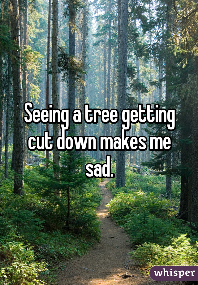 Seeing a tree getting cut down makes me sad.