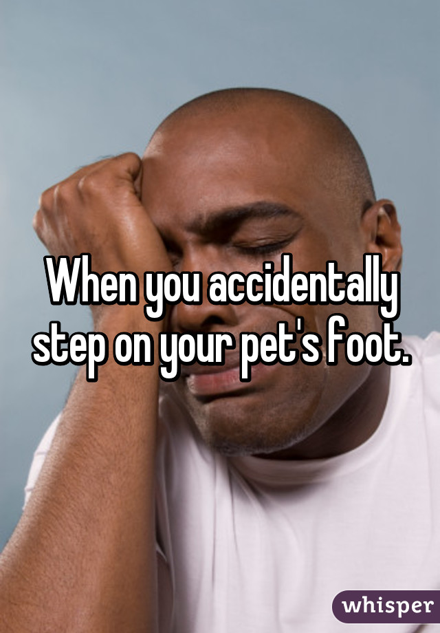 When you accidentally step on your pet's foot.