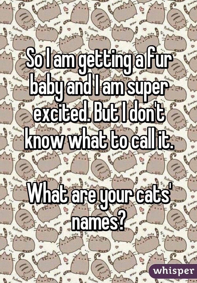 So I am getting a fur baby and I am super excited. But I don't know what to call it.

What are your cats' names?