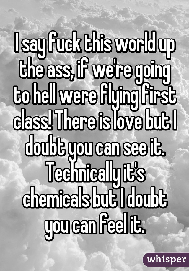 I say fuck this world up the ass, if we're going to hell were flying first class! There is love but I doubt you can see it. Technically it's chemicals but I doubt you can feel it.