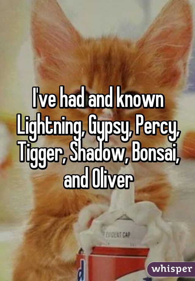 I've had and known Lightning, Gypsy, Percy, Tigger, Shadow, Bonsai, and Oliver