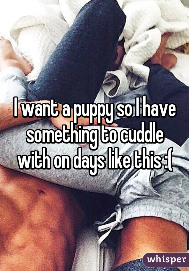 I want a puppy so I have something to cuddle with on days like this :(