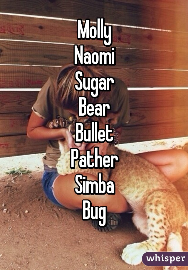 Molly
Naomi
Sugar
Bear
Bullet
Pather
Simba
Bug
