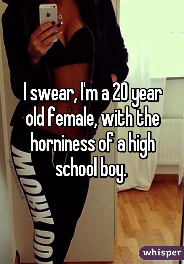 I swear, I'm a 20 year old female, with the horniness of a high school boy. 