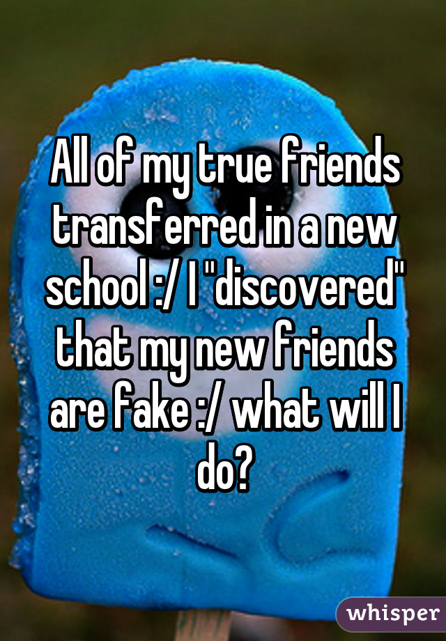 All of my true friends transferred in a new school :/ I "discovered" that my new friends are fake :/ what will I do?