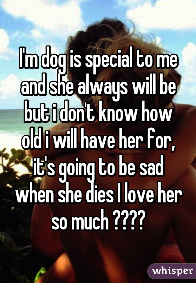 I'm dog is special to me and she always will be but i don't know how old i will have her for, it's going to be sad when she dies I love her so much ❤️😭😍