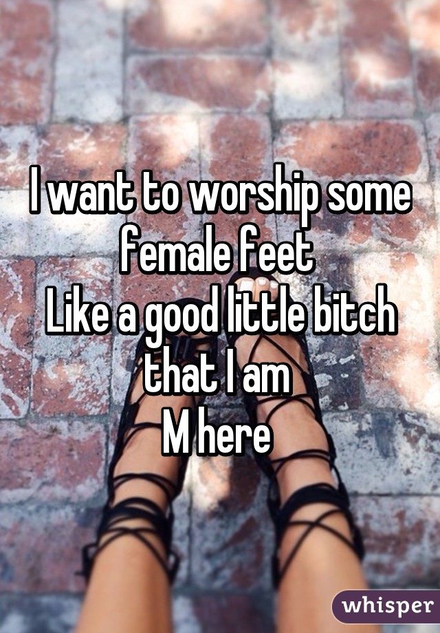 I want to worship some female feet 
Like a good little bitch that I am 
M here 