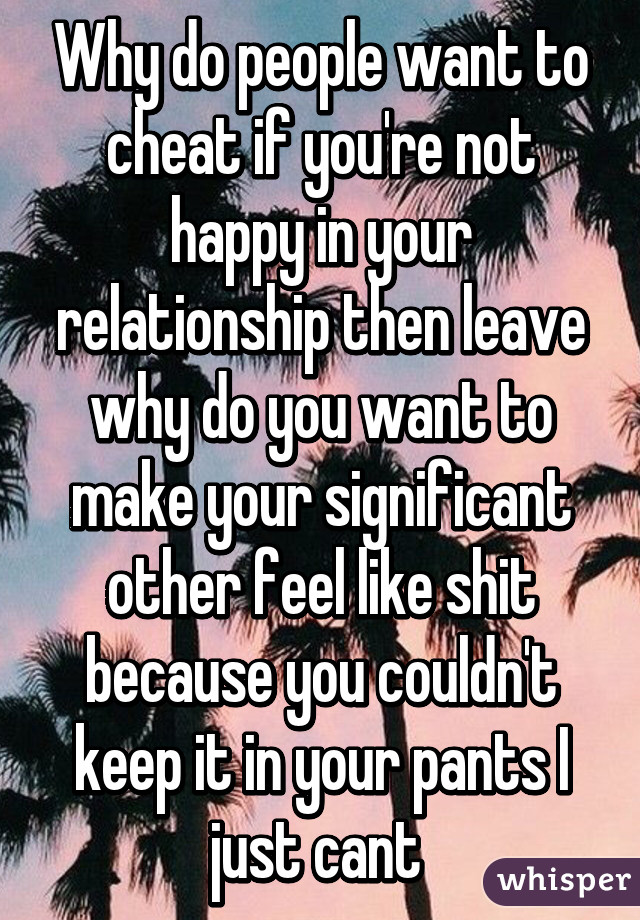 Why do people want to cheat if you're not happy in your relationship then leave why do you want to make your significant other feel like shit because you couldn't keep it in your pants I just cant 