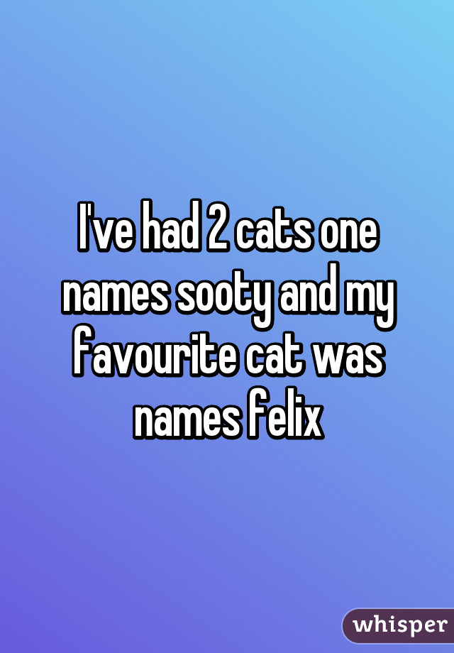 I've had 2 cats one names sooty and my favourite cat was names felix