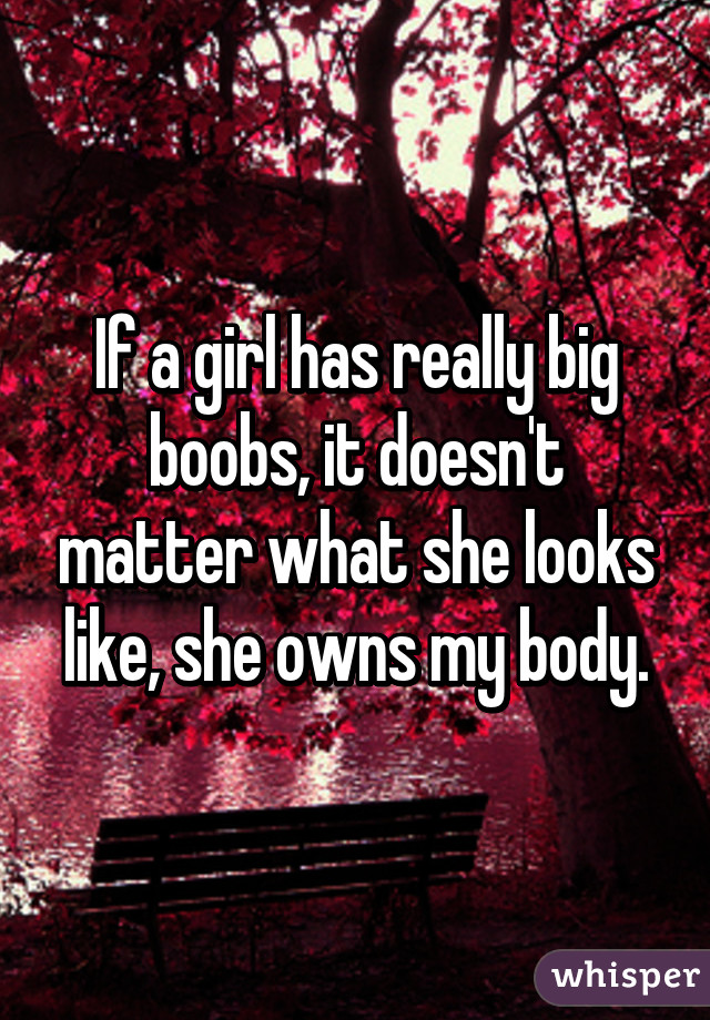 If a girl has really big boobs, it doesn't matter what she looks like, she owns my body.