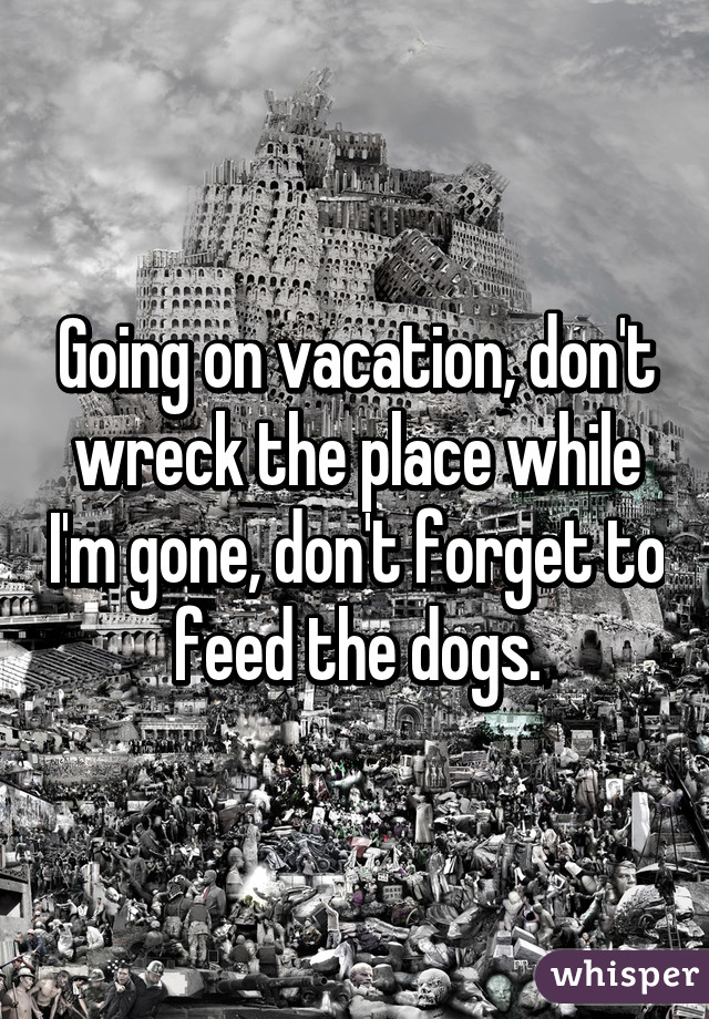 Going on vacation, don't wreck the place while I'm gone, don't forget to feed the dogs.