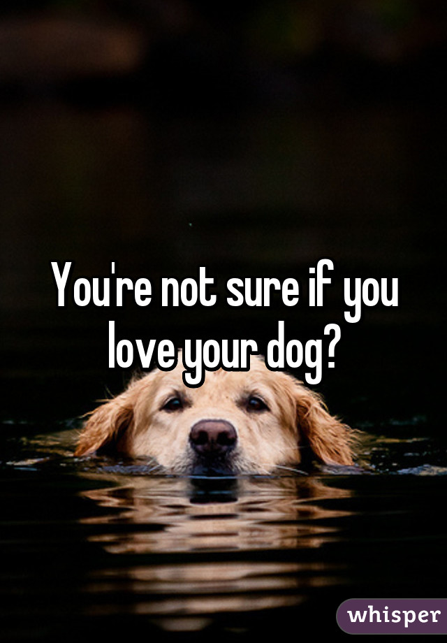 You're not sure if you love your dog?