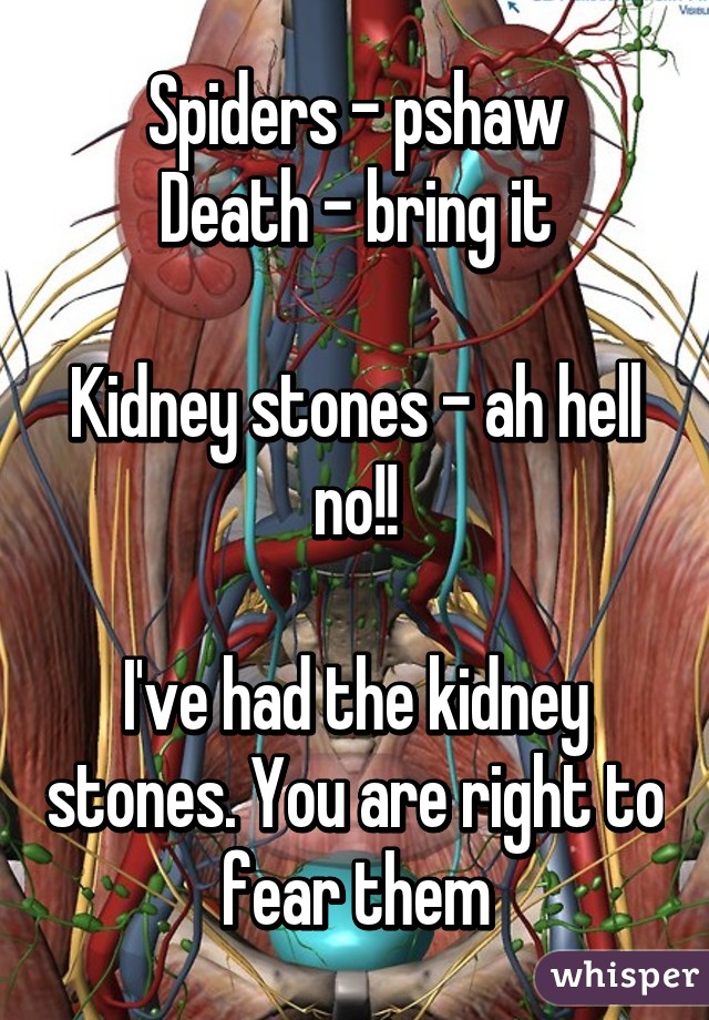 Spiders - pshaw
Death - bring it

Kidney stones - ah hell no!!

I've had the kidney stones. You are right to fear them