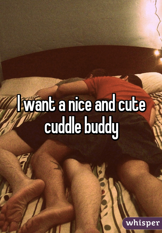 I want a nice and cute cuddle buddy