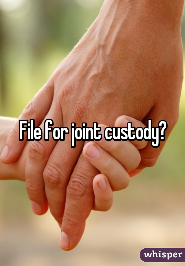 File for joint custody?