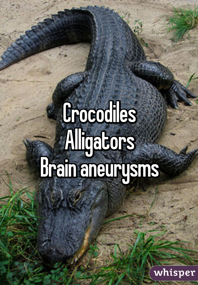 Crocodiles
Alligators
Brain aneurysms