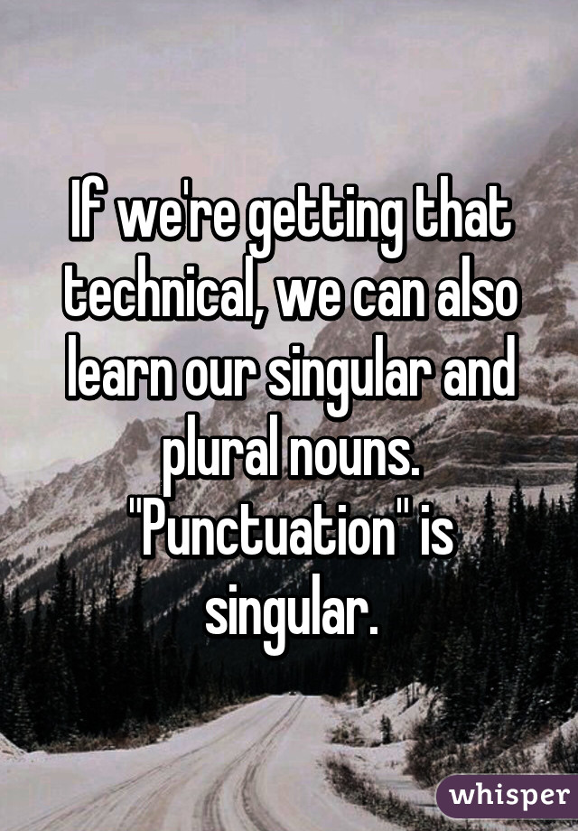 If we're getting that technical, we can also learn our singular and plural nouns. "Punctuation" is singular.