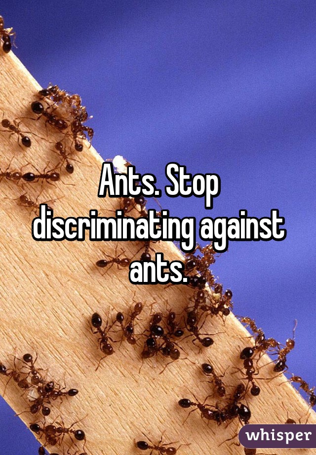 Ants. Stop discriminating against ants.