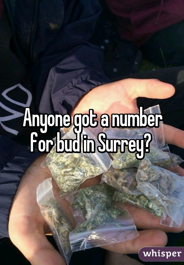 Anyone got a number for bud in Surrey? 