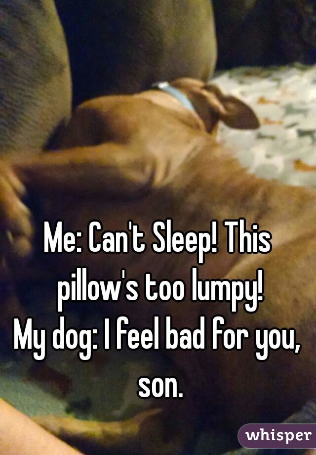 



Me: Can't Sleep! This pillow's too lumpy!
My dog: I feel bad for you, son.