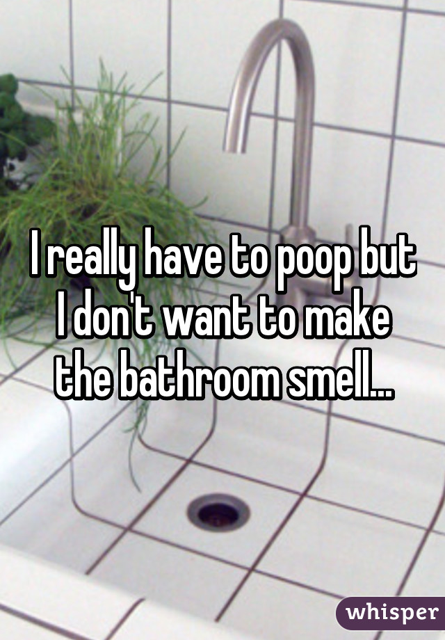 I really have to poop but I don't want to make the bathroom smell...