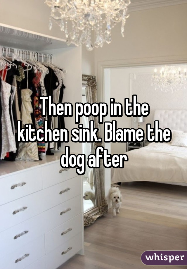 Then poop in the kitchen sink. Blame the dog after