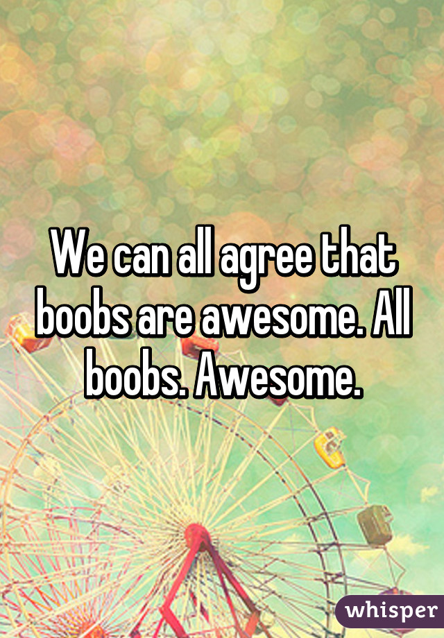 We can all agree that boobs are awesome. All boobs. Awesome.