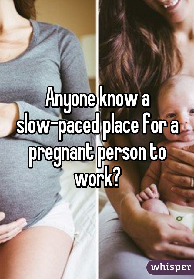 Anyone know a slow-paced place for a pregnant person to work?