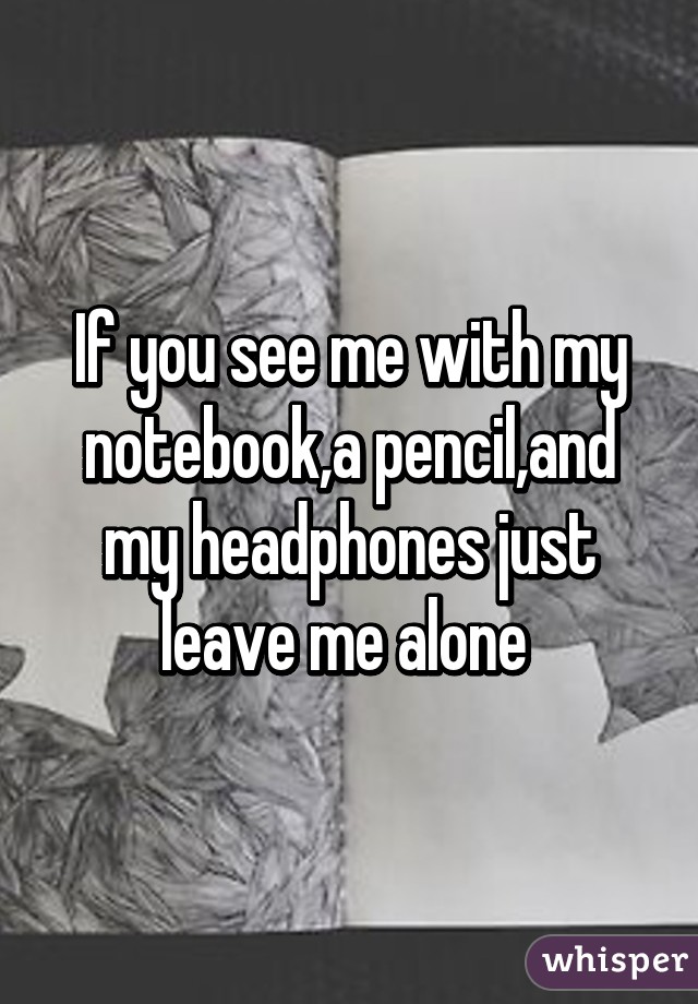 If you see me with my notebook,a pencil,and my headphones just leave me alone 