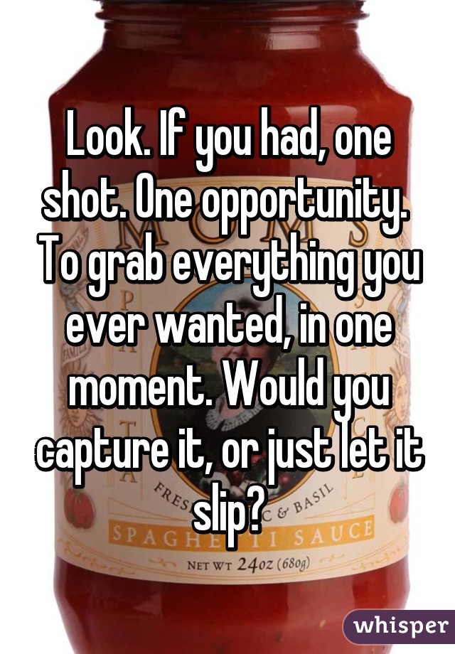 Look. If you had, one shot. One opportunity.  To grab everything you ever wanted, in one moment. Would you capture it, or just let it slip?