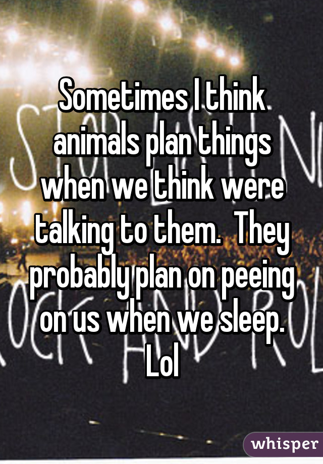 Sometimes I think animals plan things when we think were talking to them.  They probably plan on peeing on us when we sleep. Lol