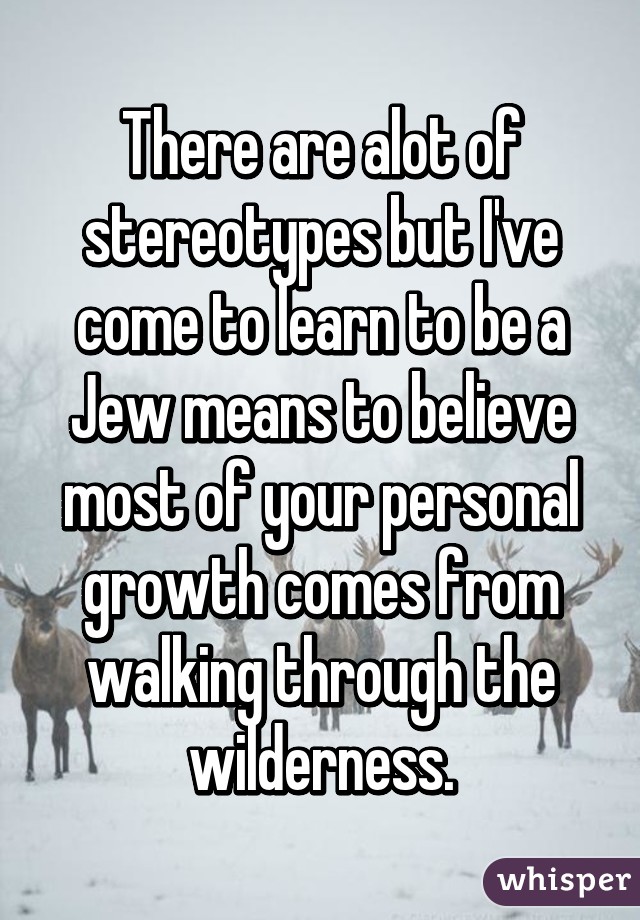 There are alot of stereotypes but I've come to learn to be a Jew means to believe most of your personal growth comes from walking through the wilderness.