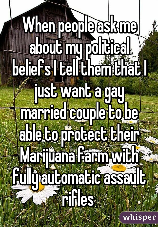 When people ask me about my political beliefs I tell them that I just want a gay married couple to be able to protect their Marijuana farm with fully automatic assault rifles 