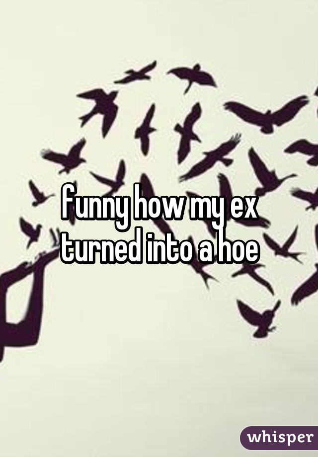 funny how my ex turned into a hoe