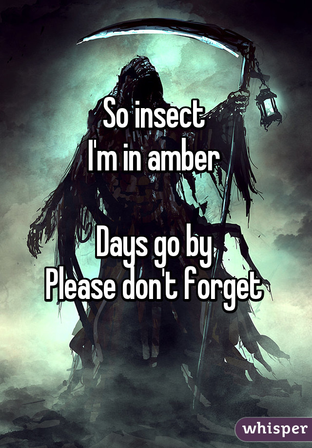 So insect 
I'm in amber 

Days go by 
Please don't forget 
