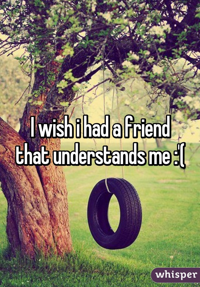 I wish i had a friend that understands me :'(