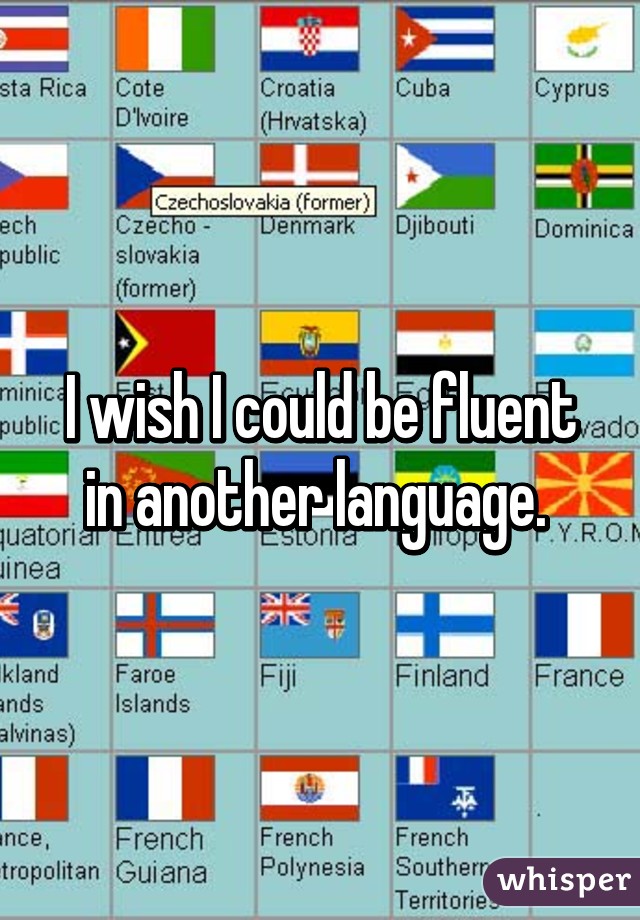 I wish I could be fluent in another language. 