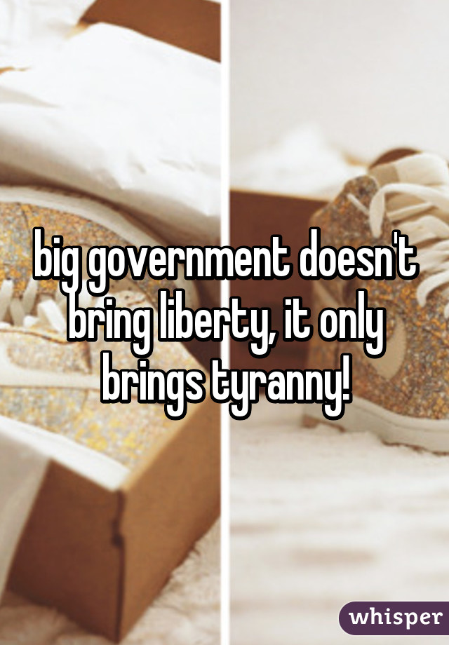 big government doesn't bring liberty, it only brings tyranny!