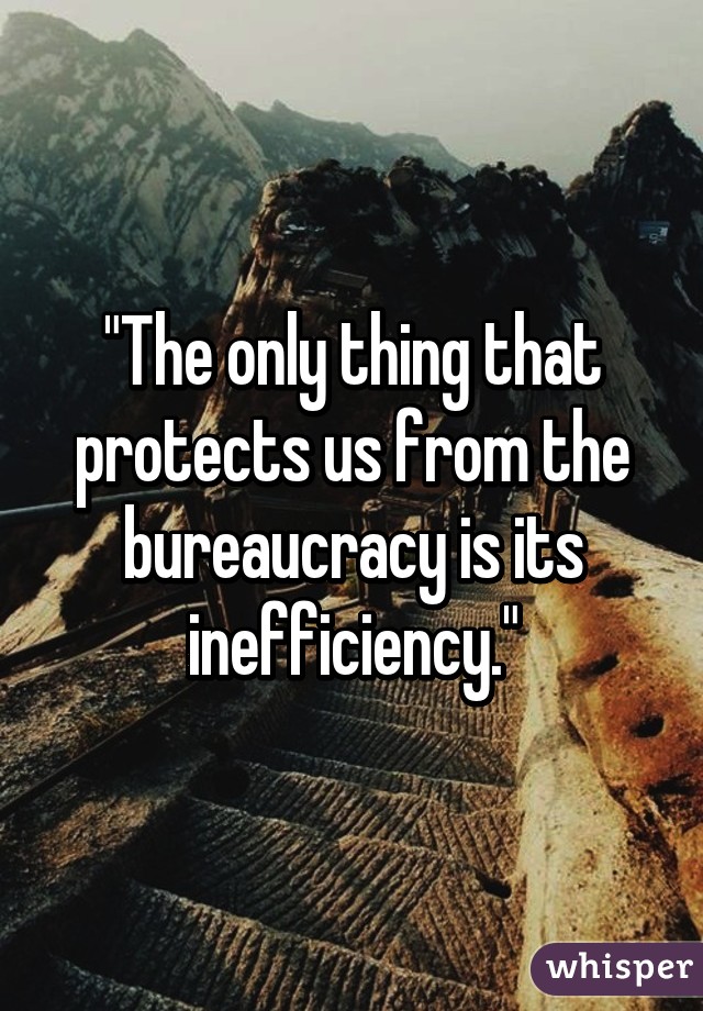 "The only thing that protects us from the bureaucracy is its inefficiency."