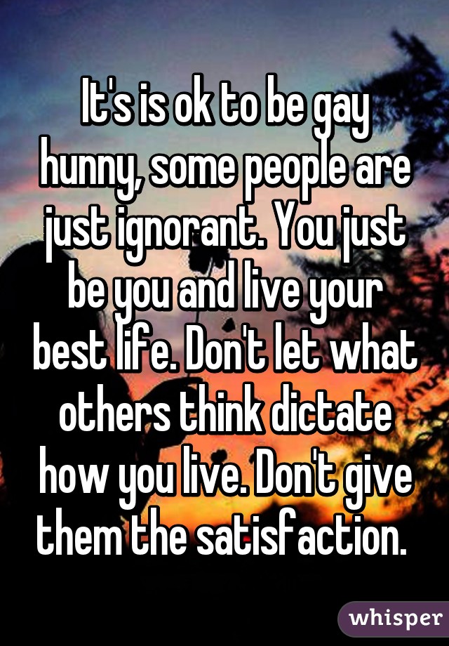 It's is ok to be gay hunny, some people are just ignorant. You just be you and live your best life. Don't let what others think dictate how you live. Don't give them the satisfaction. 